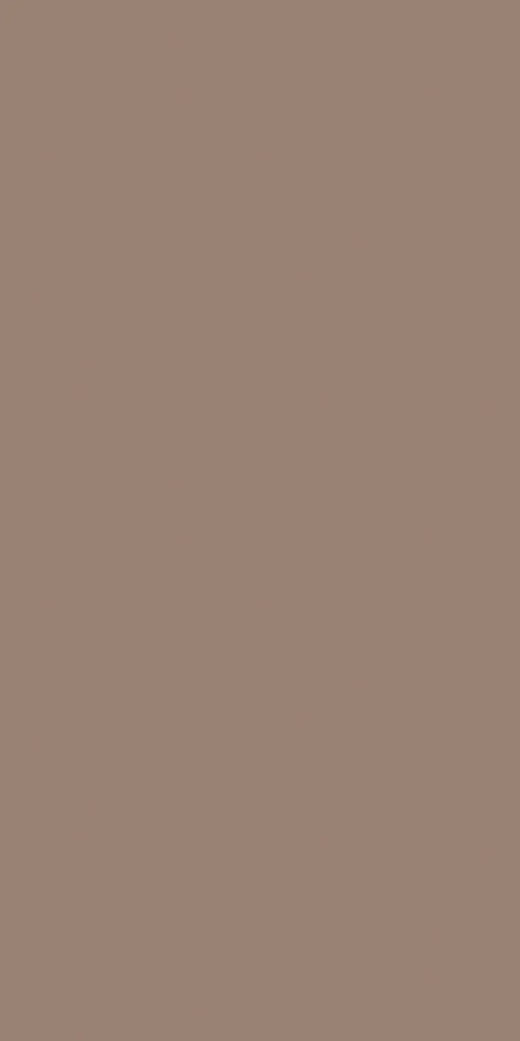EX-106 — Signature decorative surface