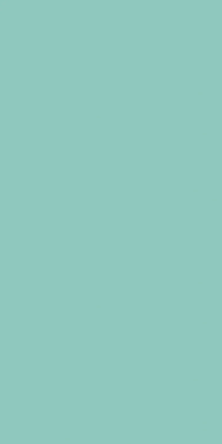 EX-113 — High Gloss decorative surface