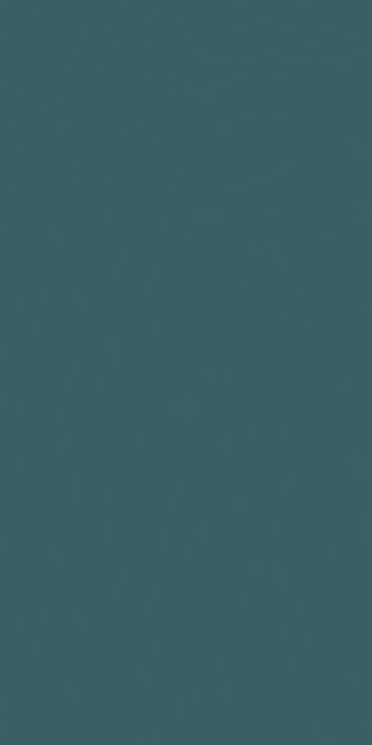 EX-115 — High Gloss decorative surface