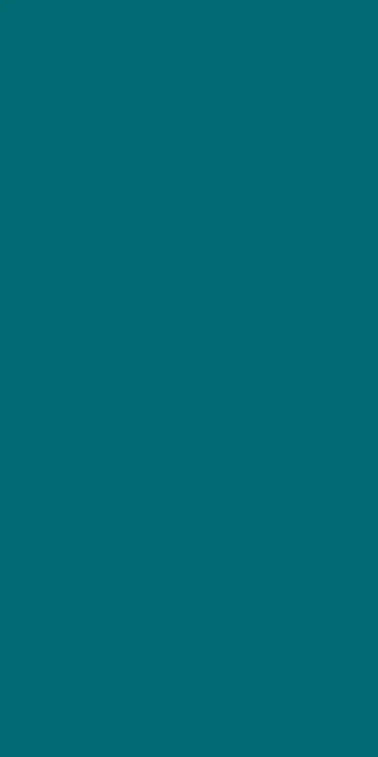 EX-116 — High Gloss decorative surface