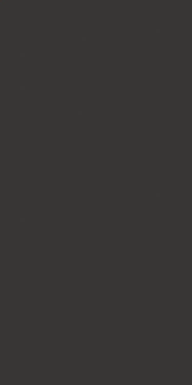 EX-118 — High Gloss decorative surface
