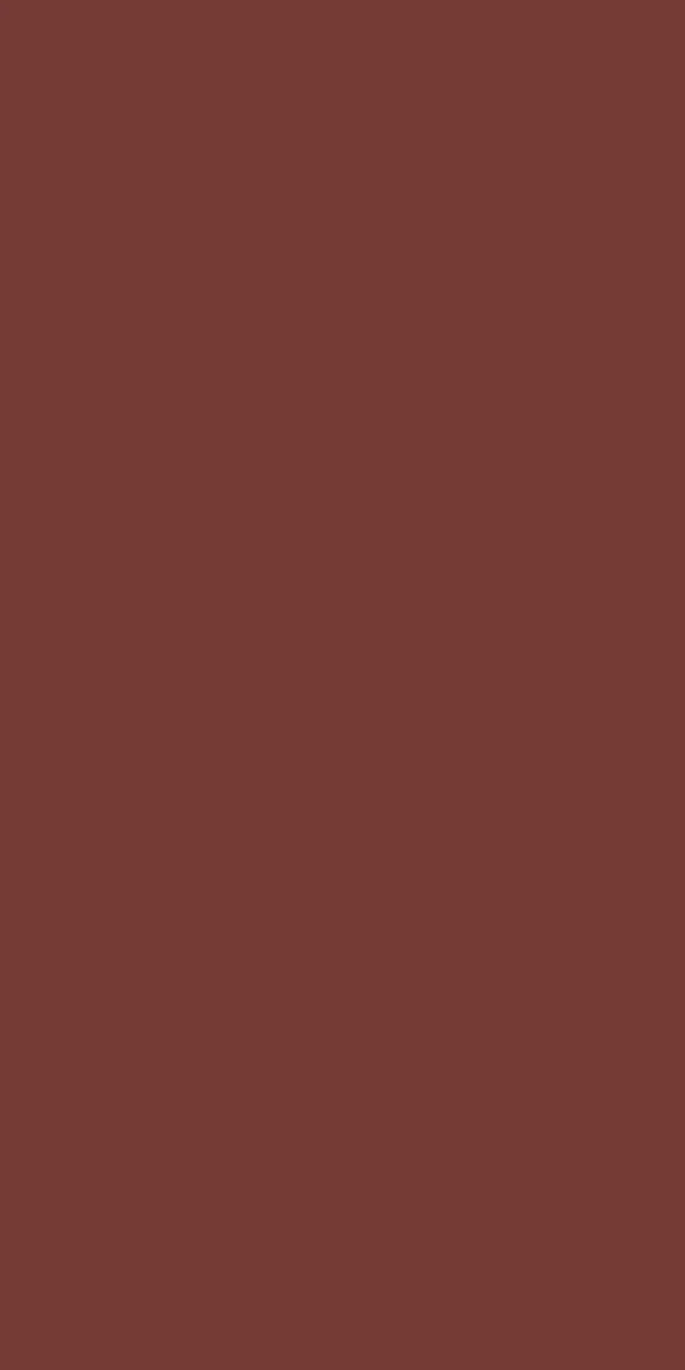EX-125 — High Gloss decorative surface