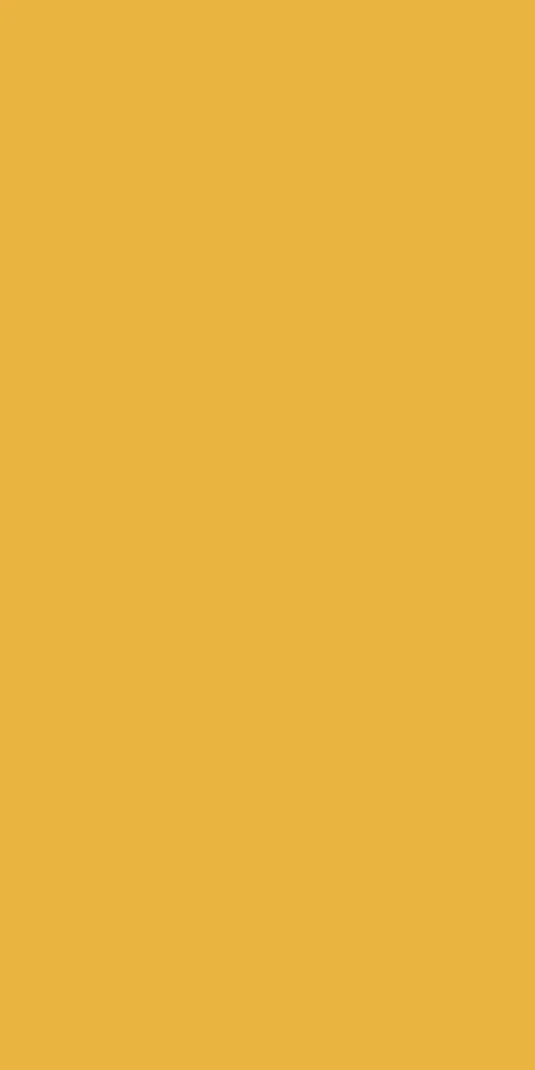 EX-126 — High Gloss decorative surface