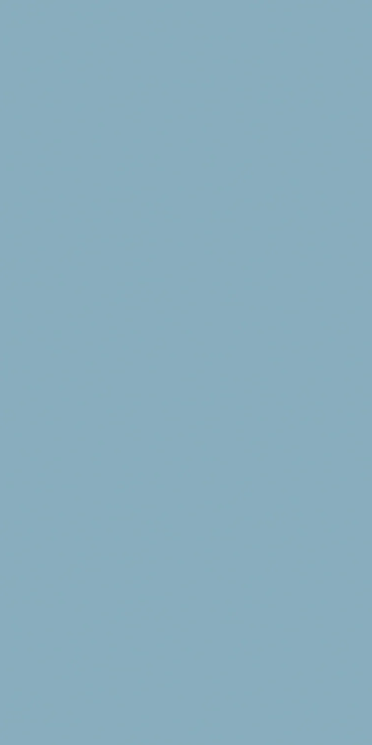 EX-131 — High Gloss decorative surface