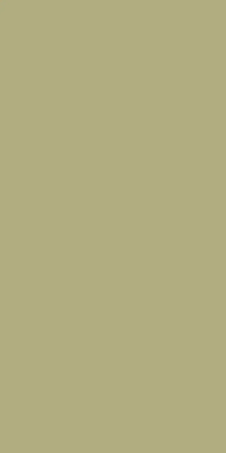EX-132 — High Gloss decorative surface