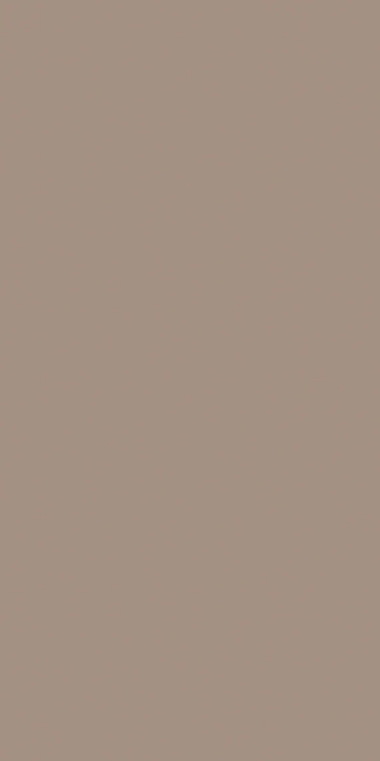 EX-305 — Metallic decorative surface