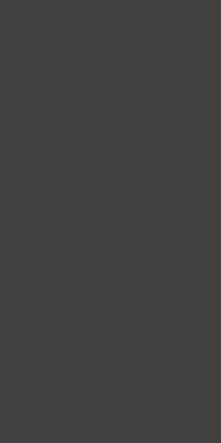EX-307 — Metallic decorative surface