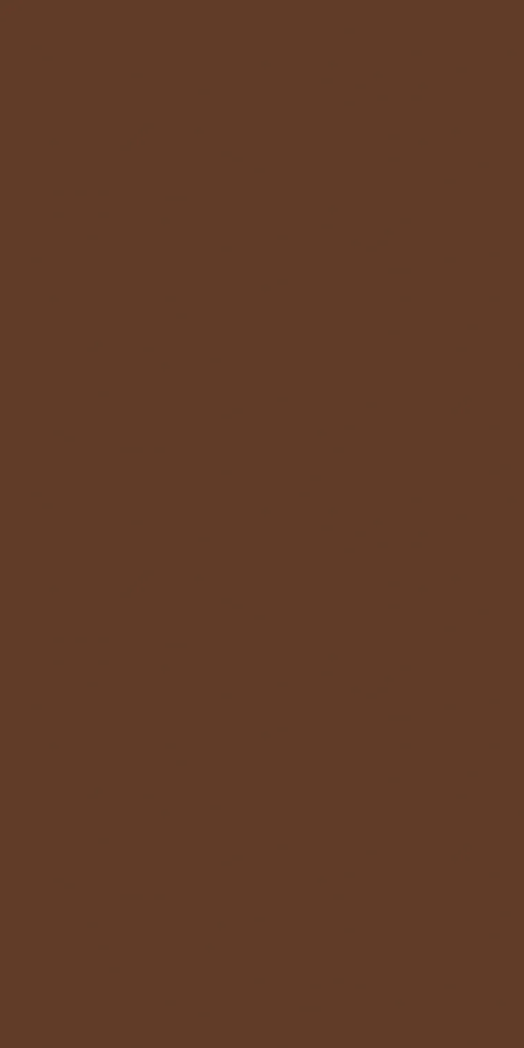 EX-308 — Metallic decorative surface
