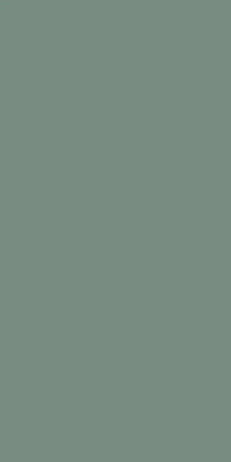 EX-309 — Metallic decorative surface