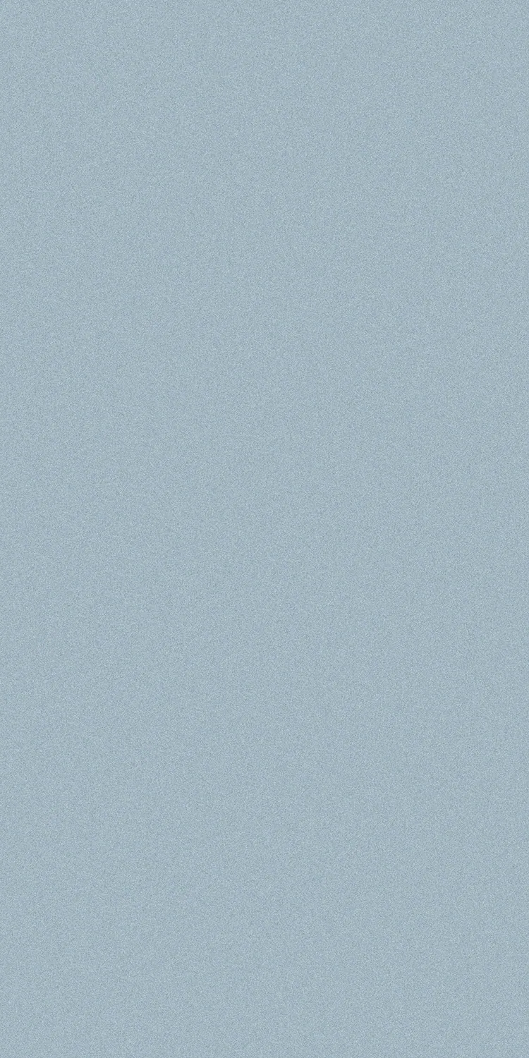 EX-310 — Metallic decorative surface