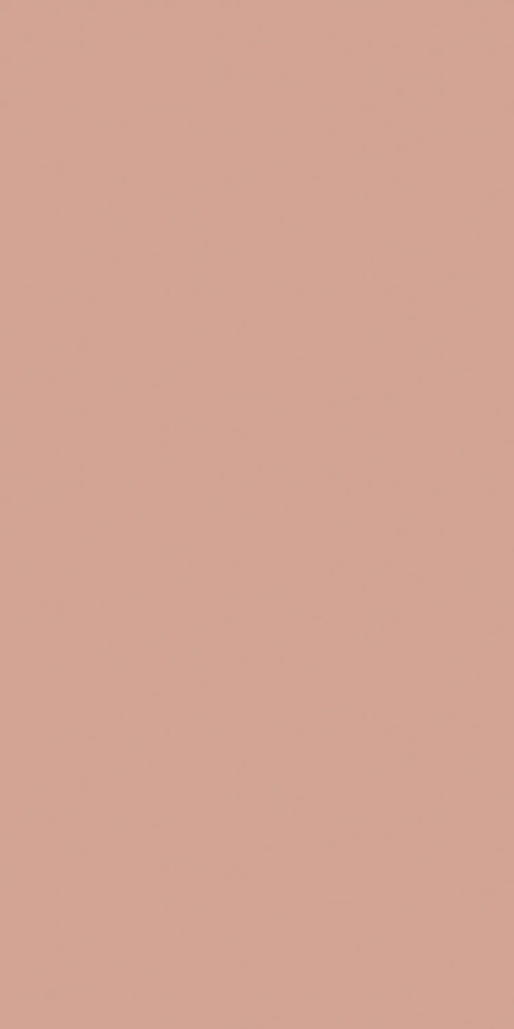 EX-313 — Metallic decorative surface