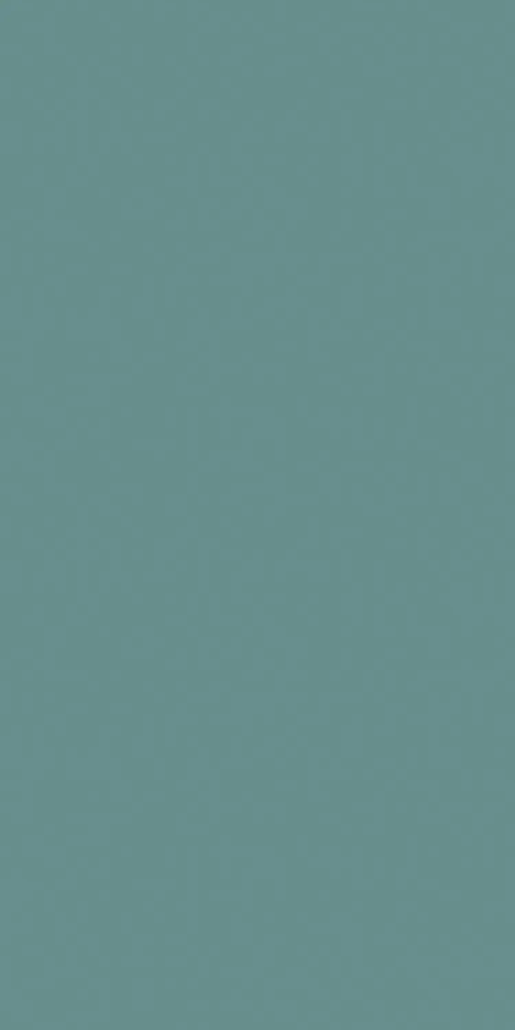 EX-314 — Metallic decorative surface