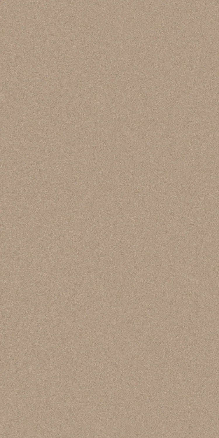 EX-505 — Stone decorative surface