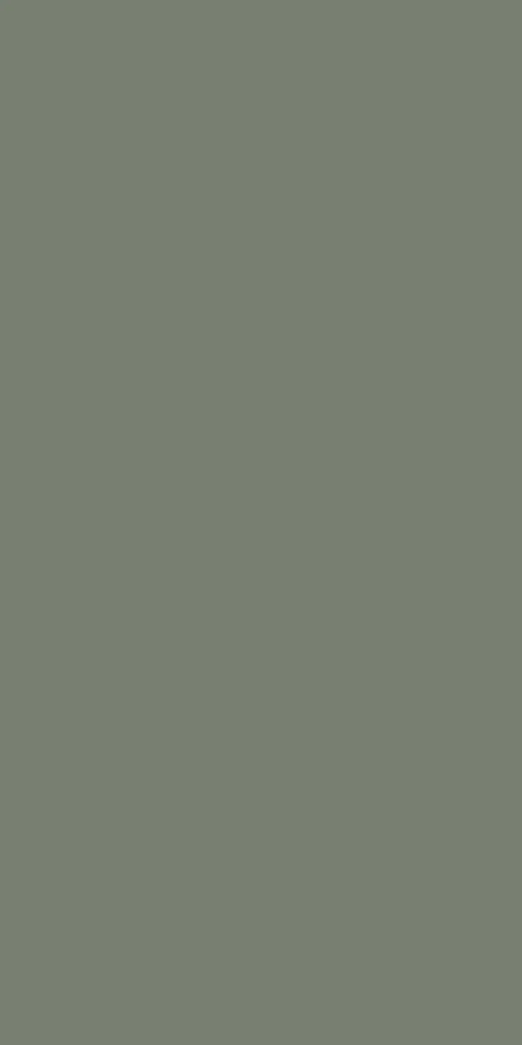 SG-1011 — Solid Gloss decorative surface