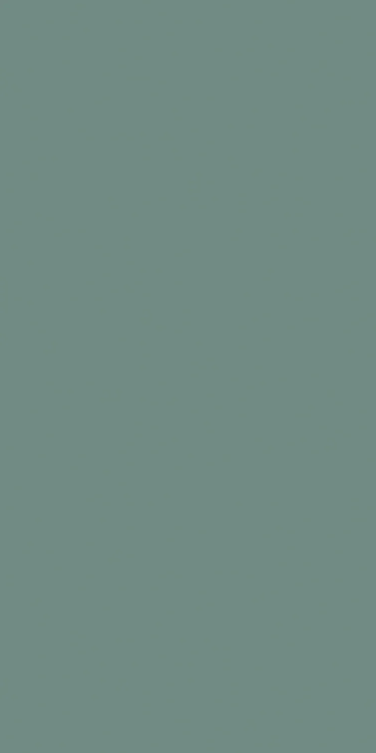 SG-1013 — Solid Gloss decorative surface