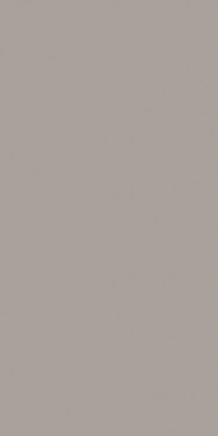SM-1005 — Solid Matt decorative surface