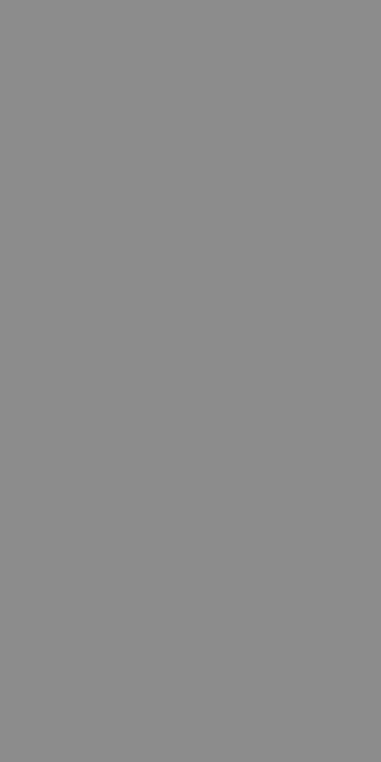 SM-1006 — Solid Matt decorative surface