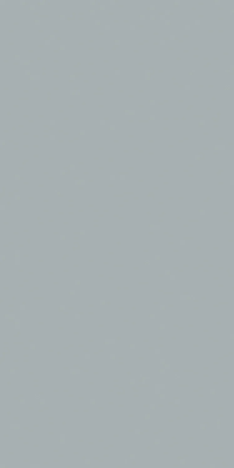 SM-1110 — Solid Matt decorative surface
